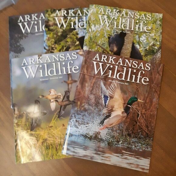 Lot of 5 Arkansas Wildlife Magazine 2021 Whole year - Picture 1 of 6
